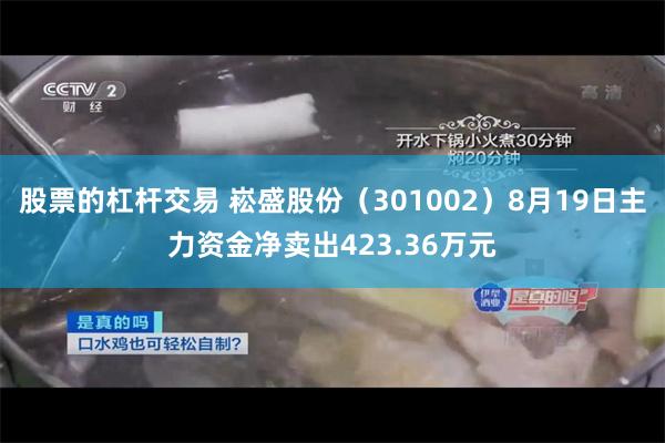 股票的杠杆交易 崧盛股份（301002）8月19日主力资金净卖出423.36万元