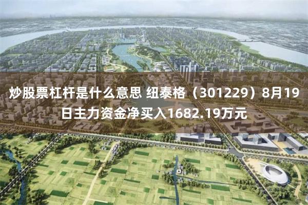 炒股票杠杆是什么意思 纽泰格(301229)8月19日主力资金净买入1682.19万元