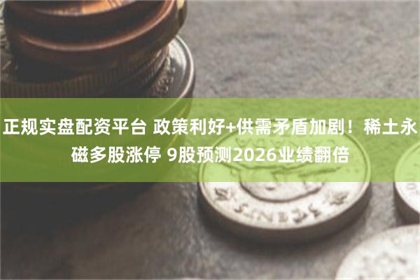 正规实盘配资平台 政策利好+供需矛盾加剧！稀土永磁多股涨停 9股预测2026业绩翻倍