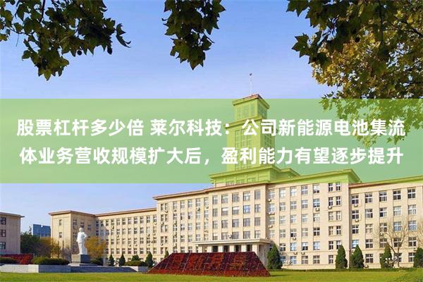 股票杠杆多少倍 莱尔科技：公司新能源电池集流体业务营收规模扩大后，盈利能力有望逐步提升