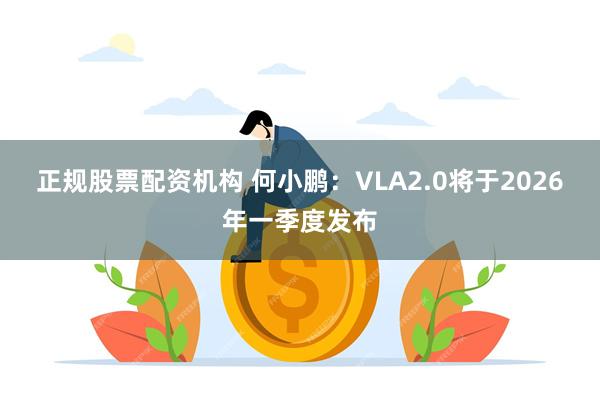 正规股票配资机构 何小鹏：VLA2.0将于2026年一季度发布