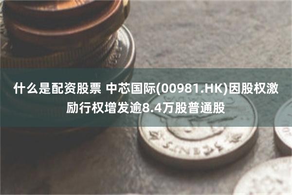 什么是配资股票 中芯国际(00981.HK)因股权激励行权增发逾8.4万股普通股