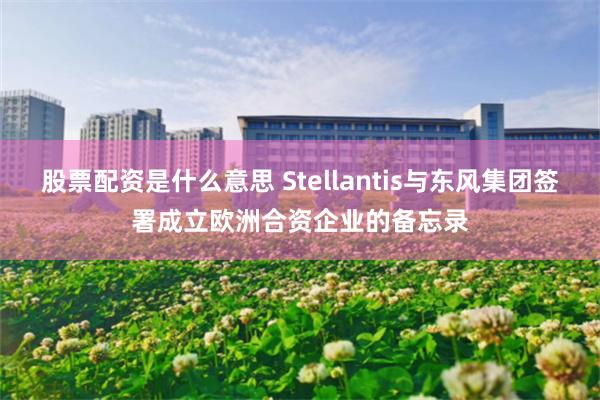 股票配资是什么意思 Stellantis与东风集团签署成立欧洲合资企业的备忘录