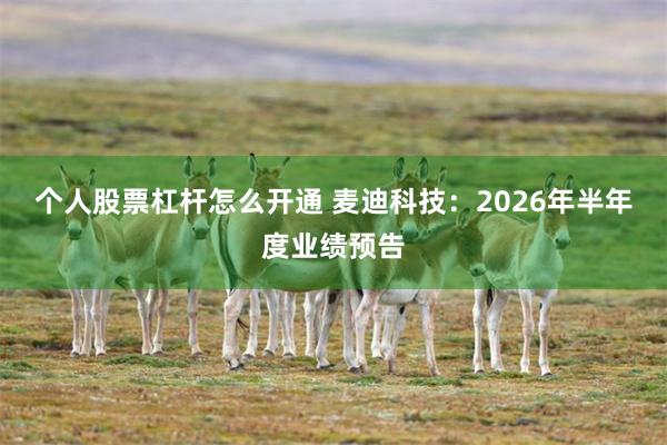 个人股票杠杆怎么开通 麦迪科技：2026年半年度业绩预告