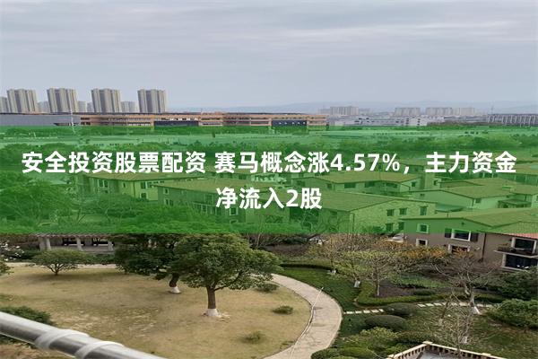 安全投资股票配资 赛马概念涨4.57%，主力资金净流入2股