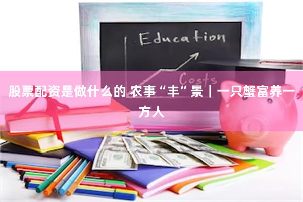 股票配资是做什么的 农事“丰”景|一只蟹富养一方人