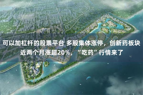 可以加杠杆的股票平台 多股集体涨停，创新药板块近两个月涨超20%，“吃药”行情来了