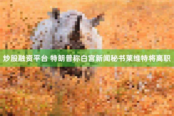 炒股融资平台 特朗普称白宫新闻秘书莱维特将离职