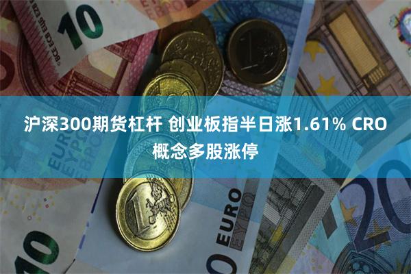 沪深300期货杠杆 创业板指半日涨1.61% CRO概念多股涨停