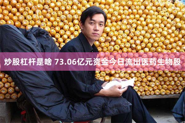 炒股杠杆是啥 73.06亿元资金今日流出医药生物股