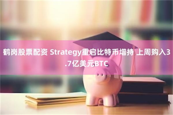 鹤岗股票配资 Strategy重启比特币增持 上周购入3.7亿美元BTC