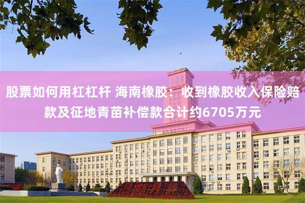 股票如何用杠杠杆 海南橡胶:收到橡胶收入保险赔款及征地青苗补偿款合计约6705万元