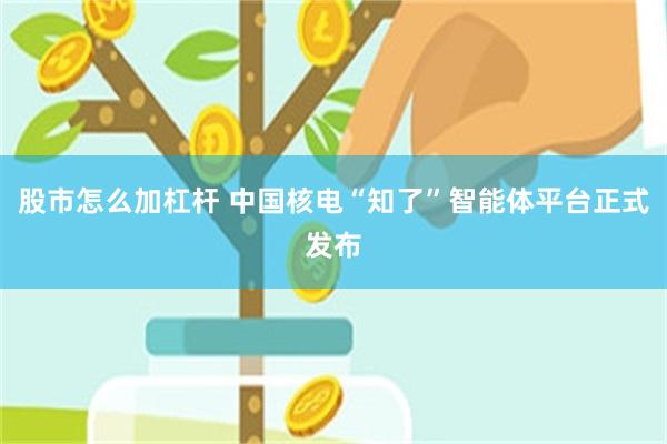 股市怎么加杠杆 中国核电“知了”智能体平台正式发布