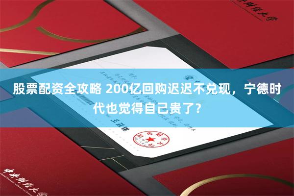 股票配资全攻略 200亿回购迟迟不兑现，宁德时代也觉得自己贵了？