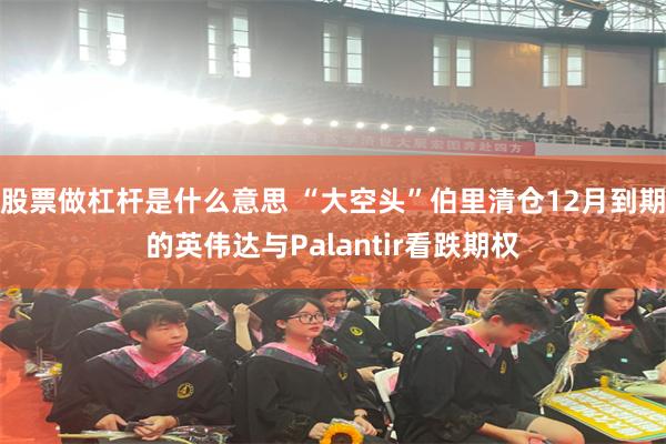 股票做杠杆是什么意思 “大空头”伯里清仓12月到期的英伟达与Palantir看跌期权