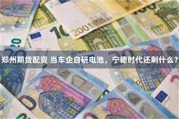 郑州期货配资 当车企自研电池，宁德时代还剩什么？