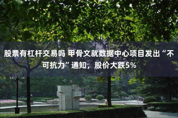 股票有杠杆交易吗 甲骨文就数据中心项目发出“不可抗力”通知，股价大跌5%