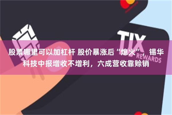 股票哪里可以加杠杆 股价暴涨后“熄火”，锡华科技中报增收不增利，六成营收靠赊销