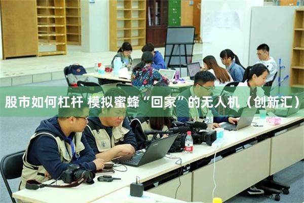 股市如何杠杆 模拟蜜蜂“回家”的无人机（创新汇）