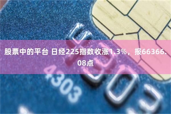 股票中的平台 日经225指数收涨1.3%，报66366.08点