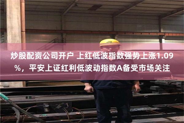 炒股配资公司开户 上红低波指数强势上涨1.09%，平安上证红利低波动指数A备受市场关注