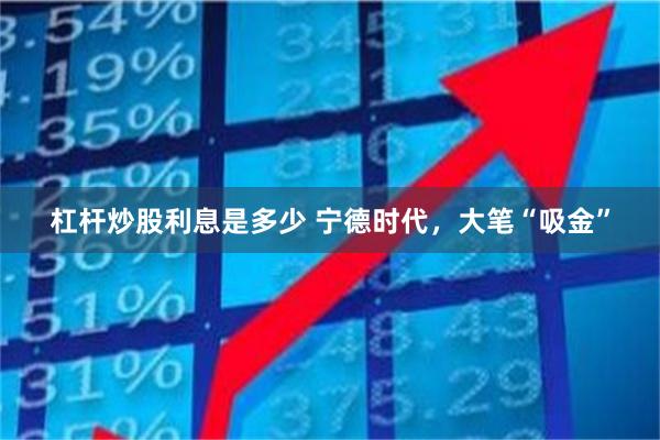 杠杆炒股利息是多少 宁德时代，大笔“吸金”
