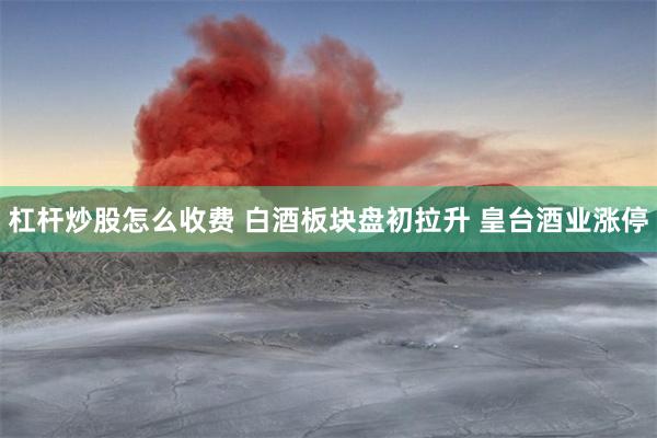杠杆炒股怎么收费 白酒板块盘初拉升 皇台酒业涨停
