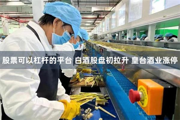 股票可以杠杆的平台 白酒股盘初拉升 皇台酒业涨停