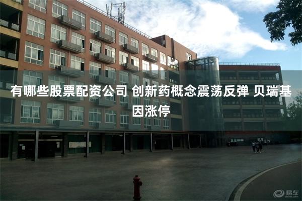 有哪些股票配资公司 创新药概念震荡反弹 贝瑞基因涨停