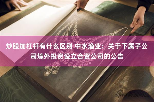 炒股加杠杆有什么区别 中水渔业：关于下属子公司境外投资设立合资公司的公告